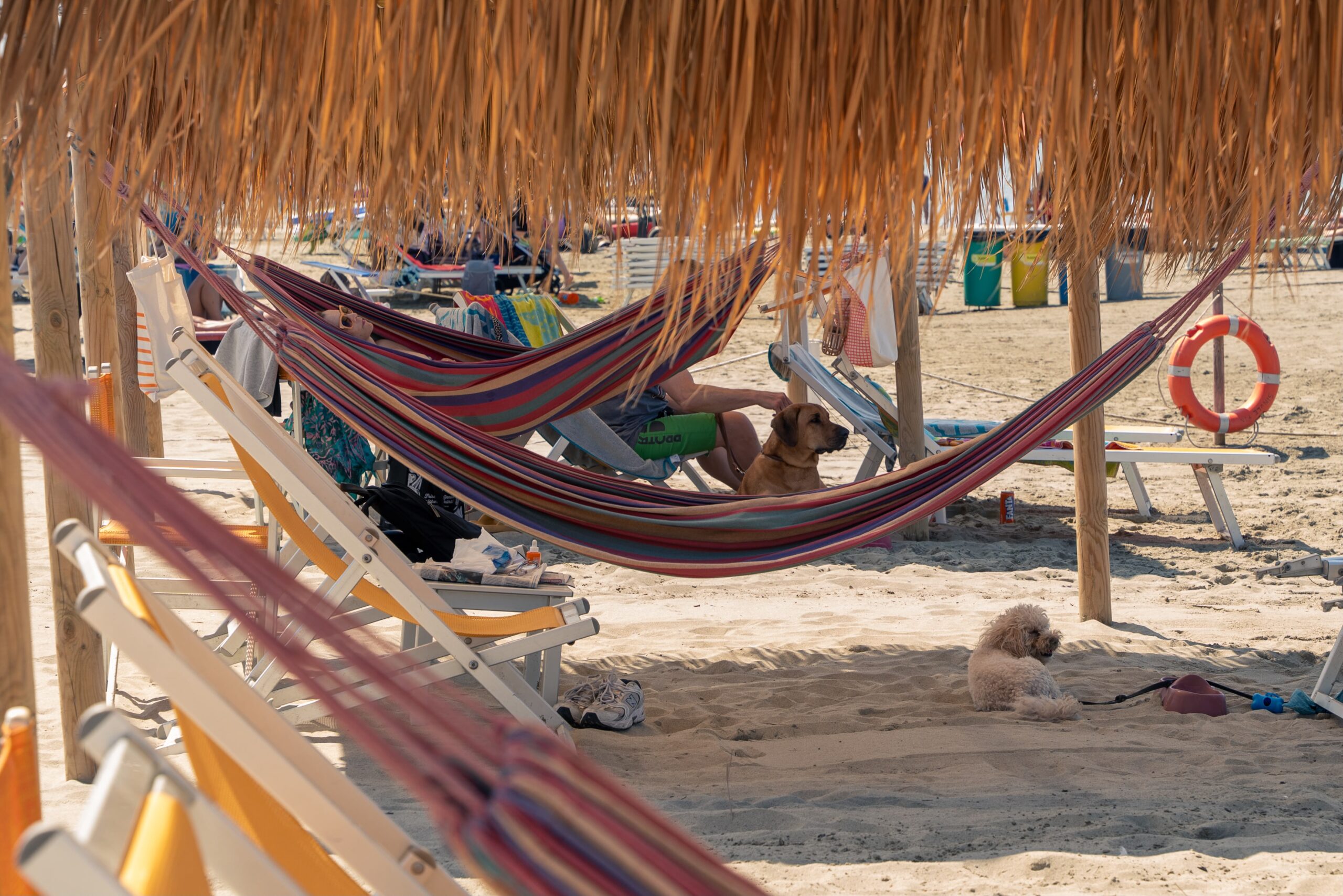 Una spiaggia certificata PCHS protagonista su PianetaMamma: quando l’ospitalità Pet-Centric diventa un modello riconosciuto